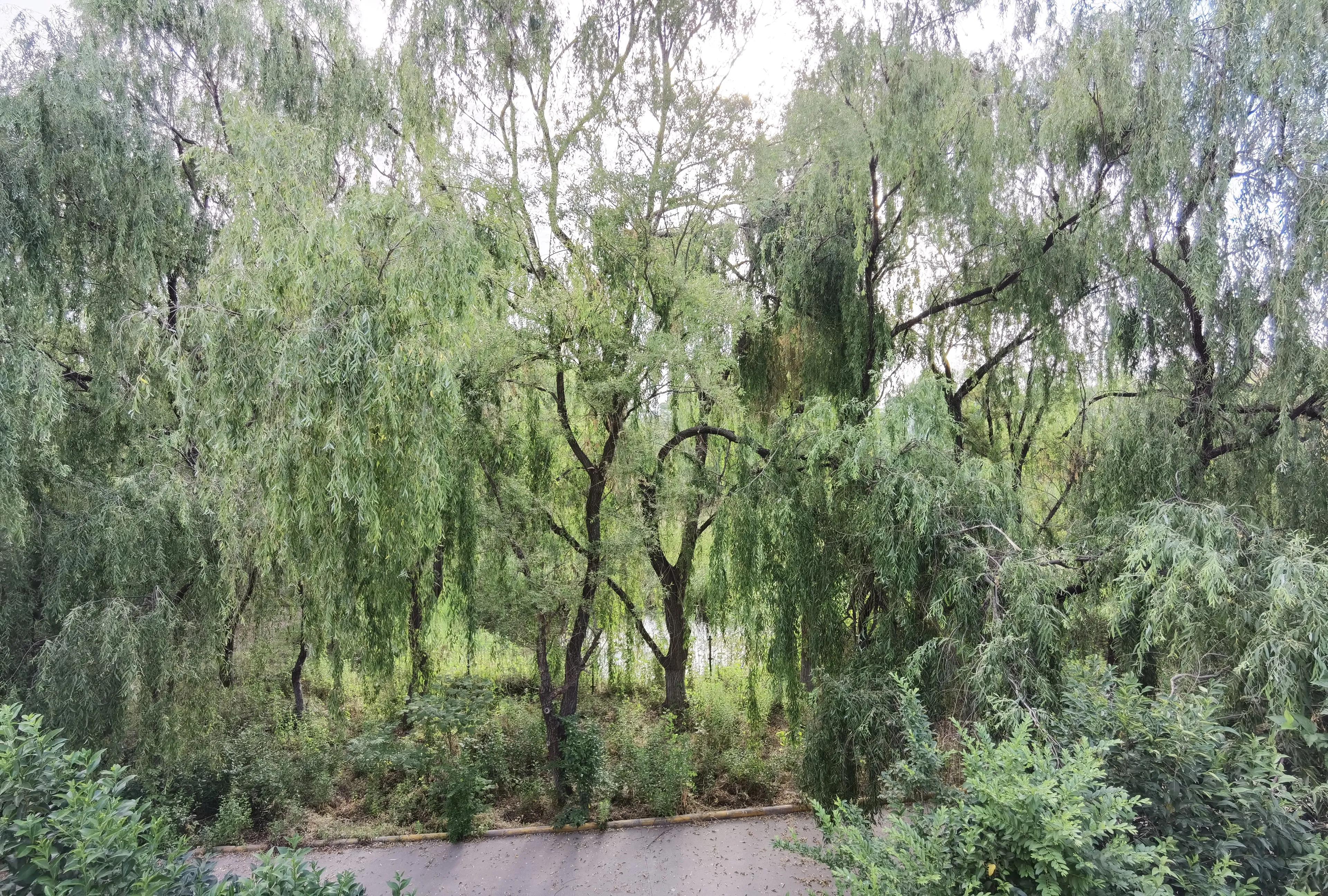蒲城巴厘岛红色文化展厅,蒲城巴厘岛温泉会所