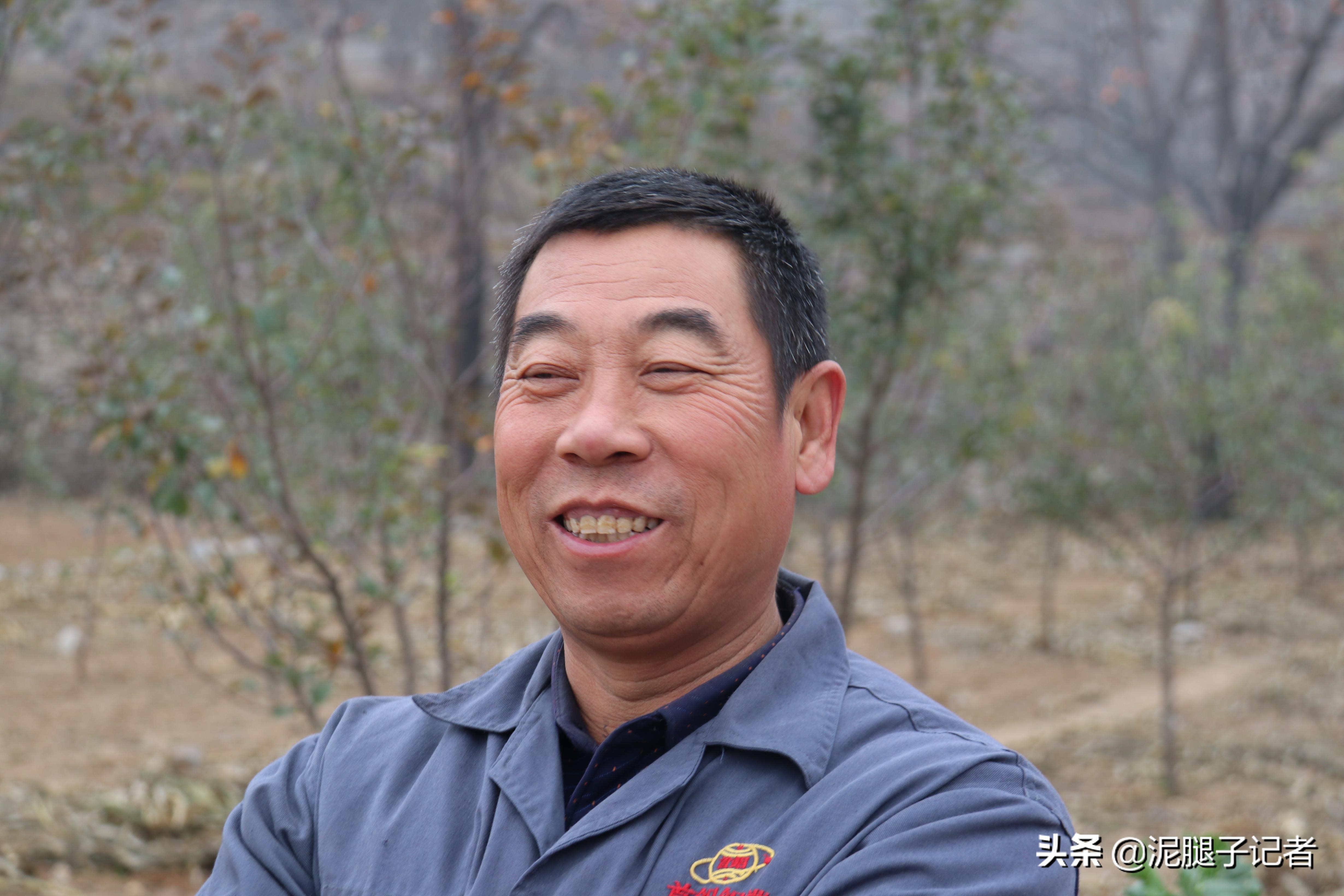 深山老屋无人采摘柿子,柿子红透了却无人采摘