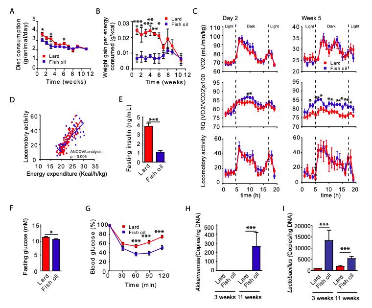 利用宿主分泌的粘蛋白“为食”的Akk菌