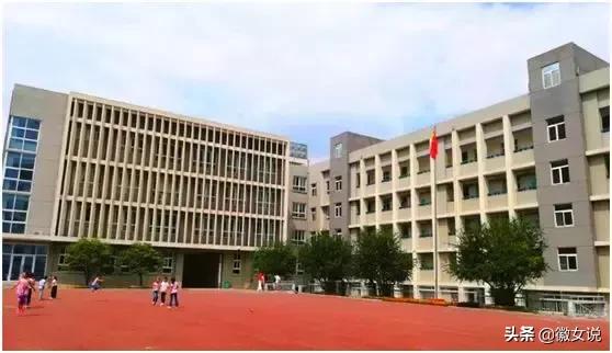 合肥优质小学排名,合肥小学排名100强一览表