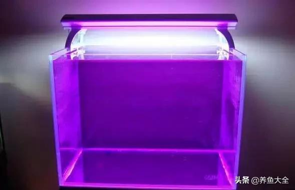 虾爆缸怎么办,极火虾怎么快速爆缸