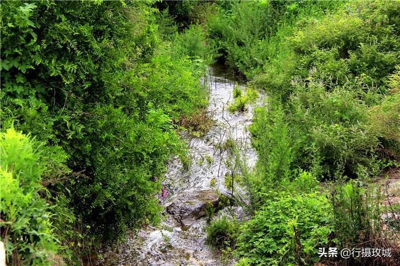 平阴县毛铺八里沟,平阴安城毛铺水库