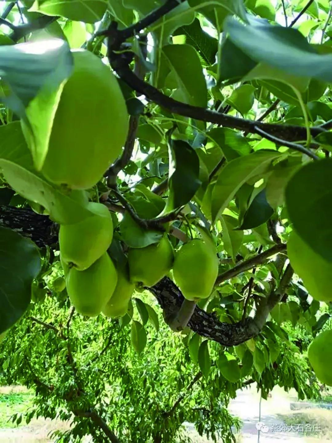 沈阳日报12月13日,沈阳新闻9月16日