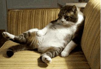 美签拒签可以立马申请加签吗,美签可以恢复吗