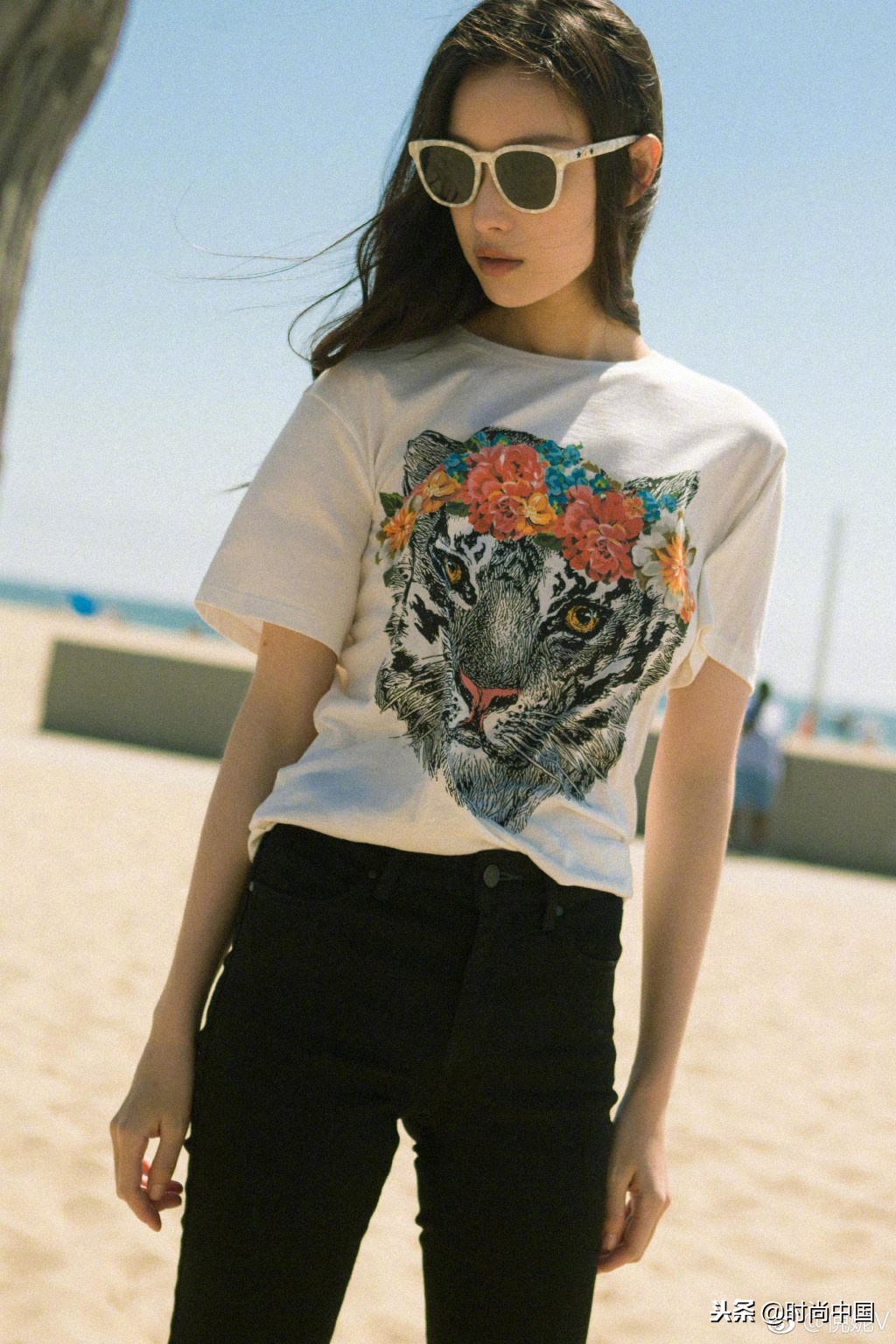 倪妮同款小猫咪,倪妮李宇春奇妙的动物