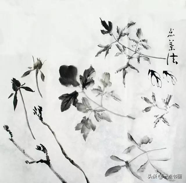 王绣写意牡丹画法步骤,王兮然写意牡丹画法视频大全