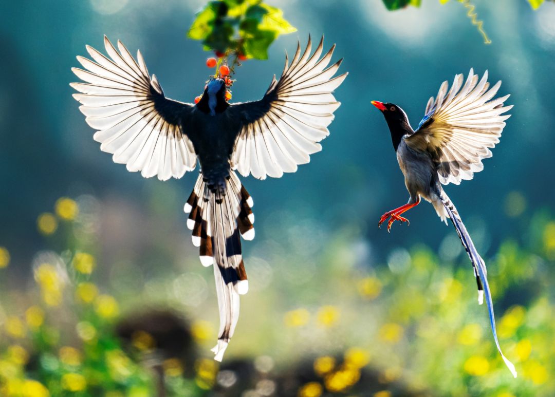 香港第14届全国摄影艺术展,第29届全国摄影艺术展览获奖名单