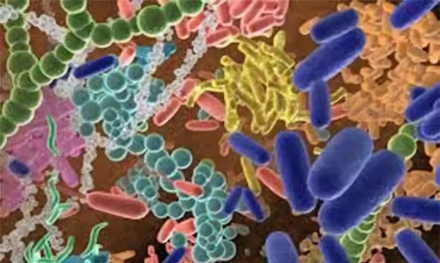 乳腺癌内分泌治疗与雌激素关系,乳腺癌内分泌治疗怎样知道耐药了