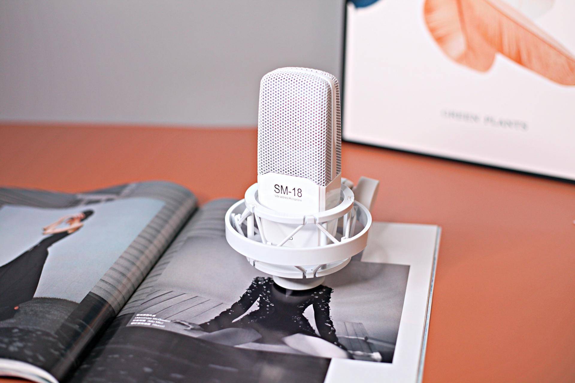 得胜sm-18麦克风怎么样,得胜sm18麦克风有正反面吗