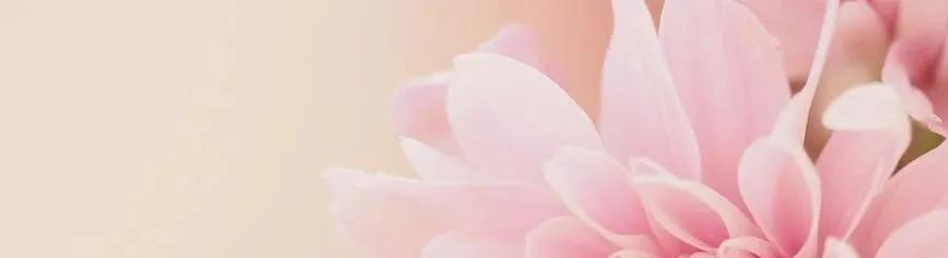 主角扮猪吃虎写得最好的小说,主角扮猪吃老虎历史小说推荐