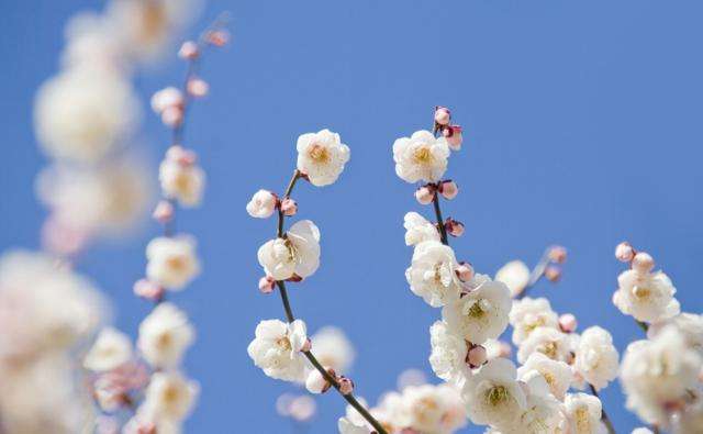 二八月乱穿衣是气象谚语吗,二八月乱穿衣解释一下