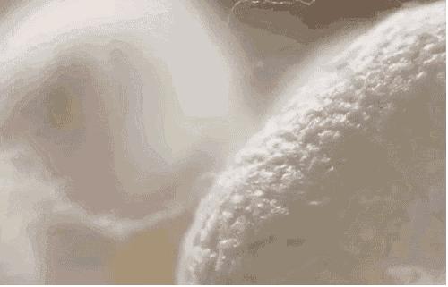 真正的蚕丝被100%桑蚕丝北极绒,推荐一款纯天然蚕丝被