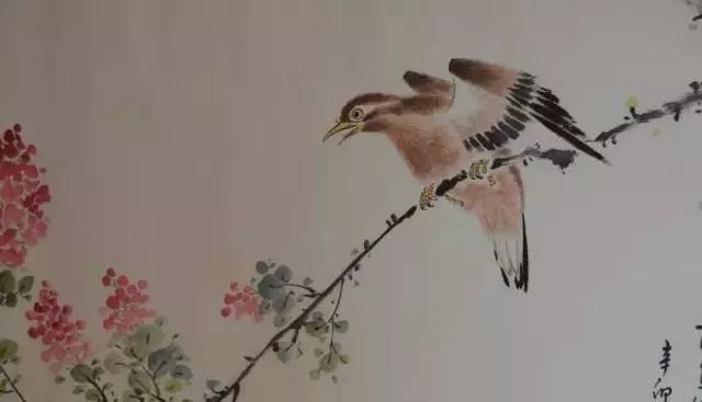 画眉最危险的方法,画眉不叫会撞头