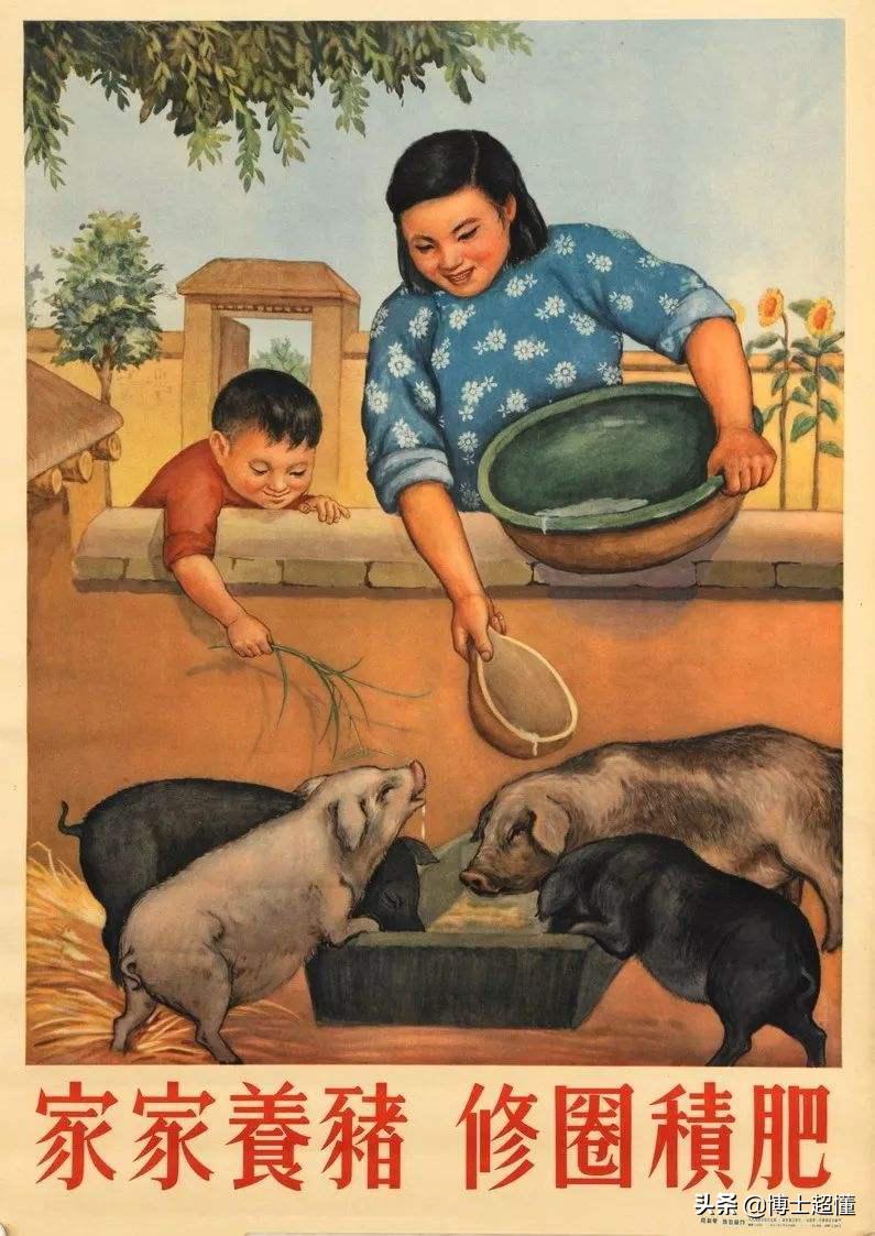 美国控制了中国养猪业吗,中国生猪被美国垄断吗