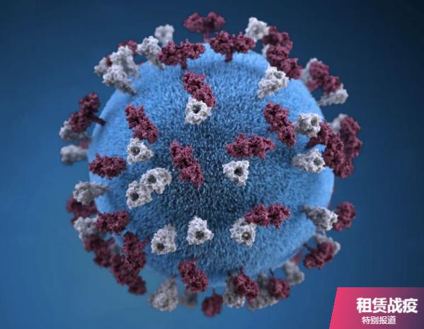 融资租赁的深度解析,融资租赁问题探讨