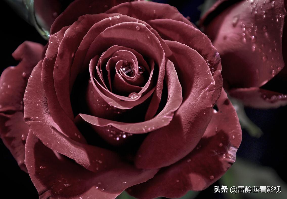 玩笑话其实才是需要认真听的,以玩笑的方式说着真心话怎么表达