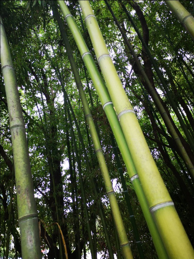 小时候的夏天农村夜晚,儿时夏天的记忆