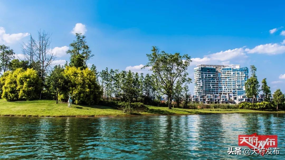 世警会准备什么,世警赛赛程2023