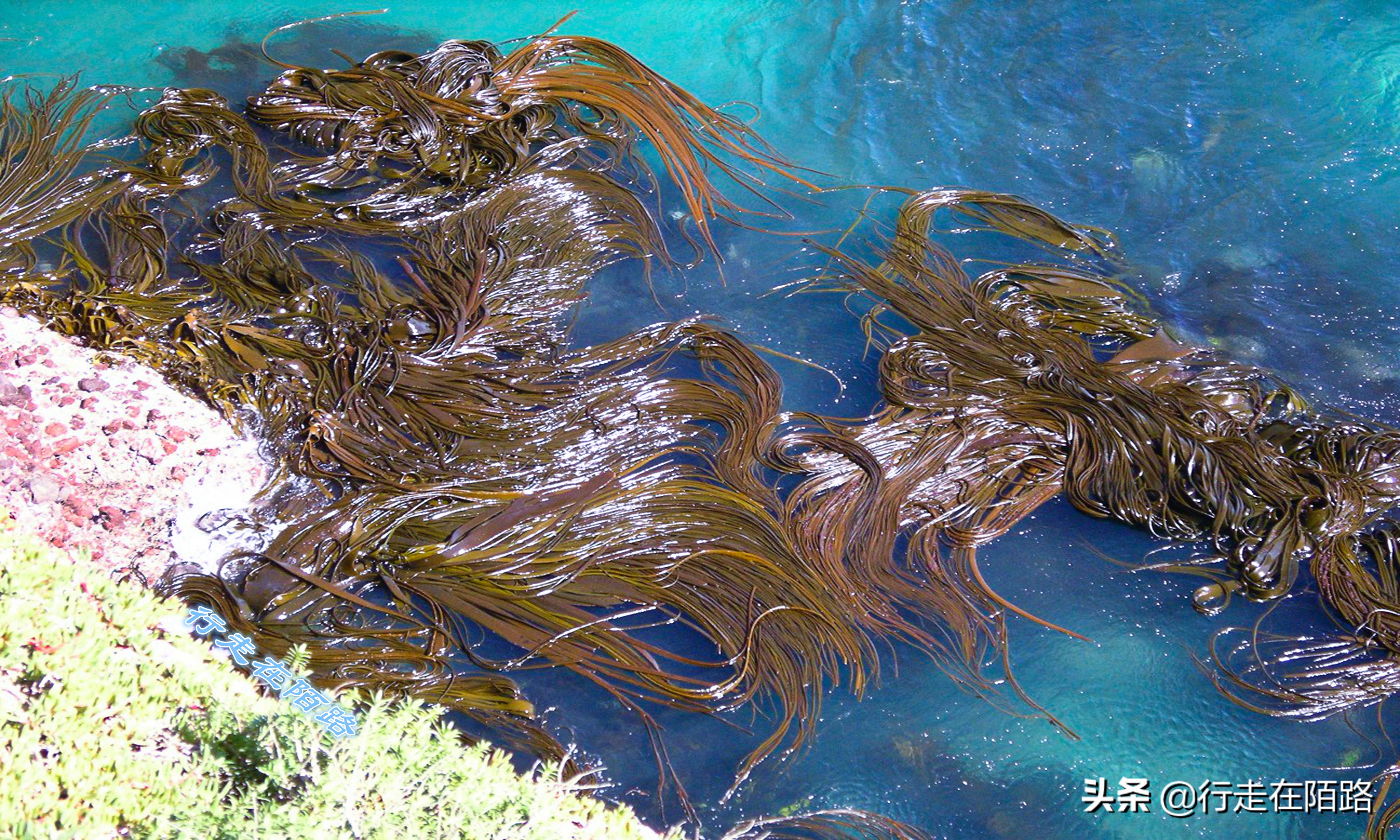 最廉价的房子,最廉价的房子建造