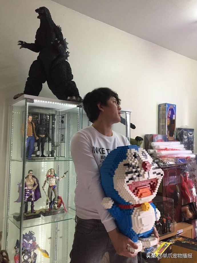 乐高机器猫被猫咪摔烂,猫把乐高机器猫弄倒了