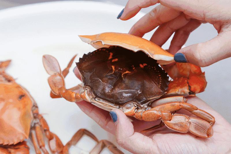 珠海火了！世界级酷炫“蓝天盛宴”，这座宝藏城市必须隆重介绍