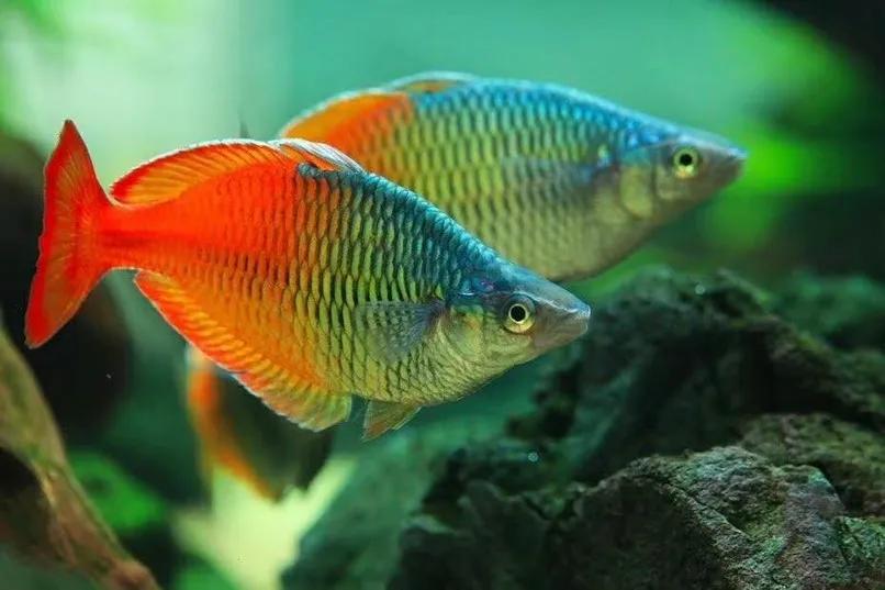 金沙天街打折活动,金沙天街高端餐饮