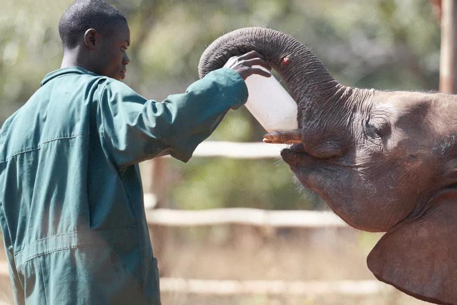 只为一串佛珠，他活剥了我妈的皮：人心有多可怕，你根本想象不到