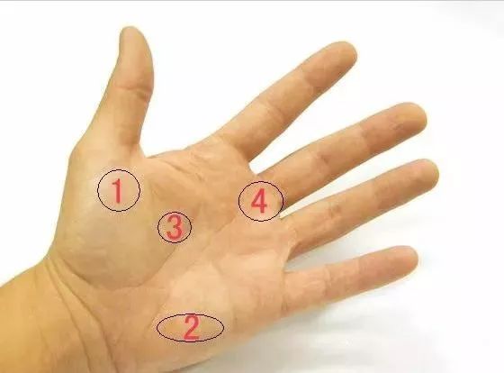 脾胃虚弱脸色发黄怎么调理儿童,脾胃虚弱脸色暗黄吃什么药