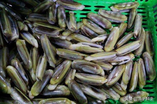 全国十大海鲜排名,中国海鲜十大产地排名最新