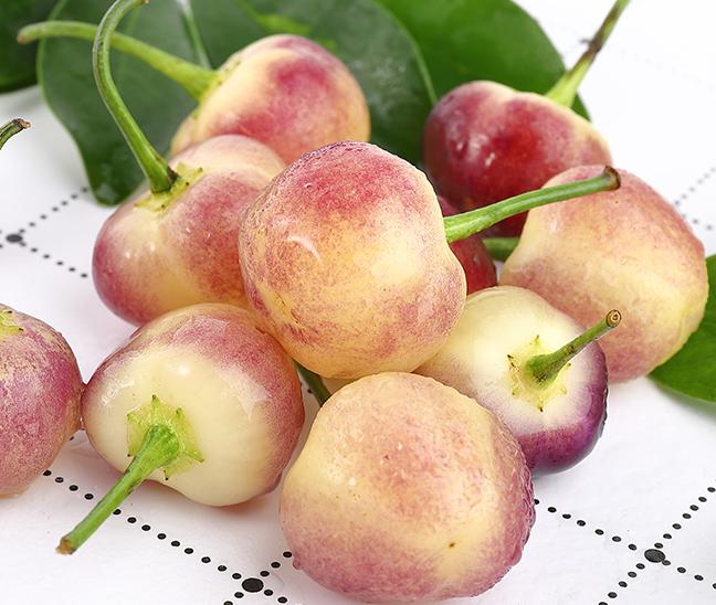 七彩盆栽迷你小辣椒,小辣椒迷你