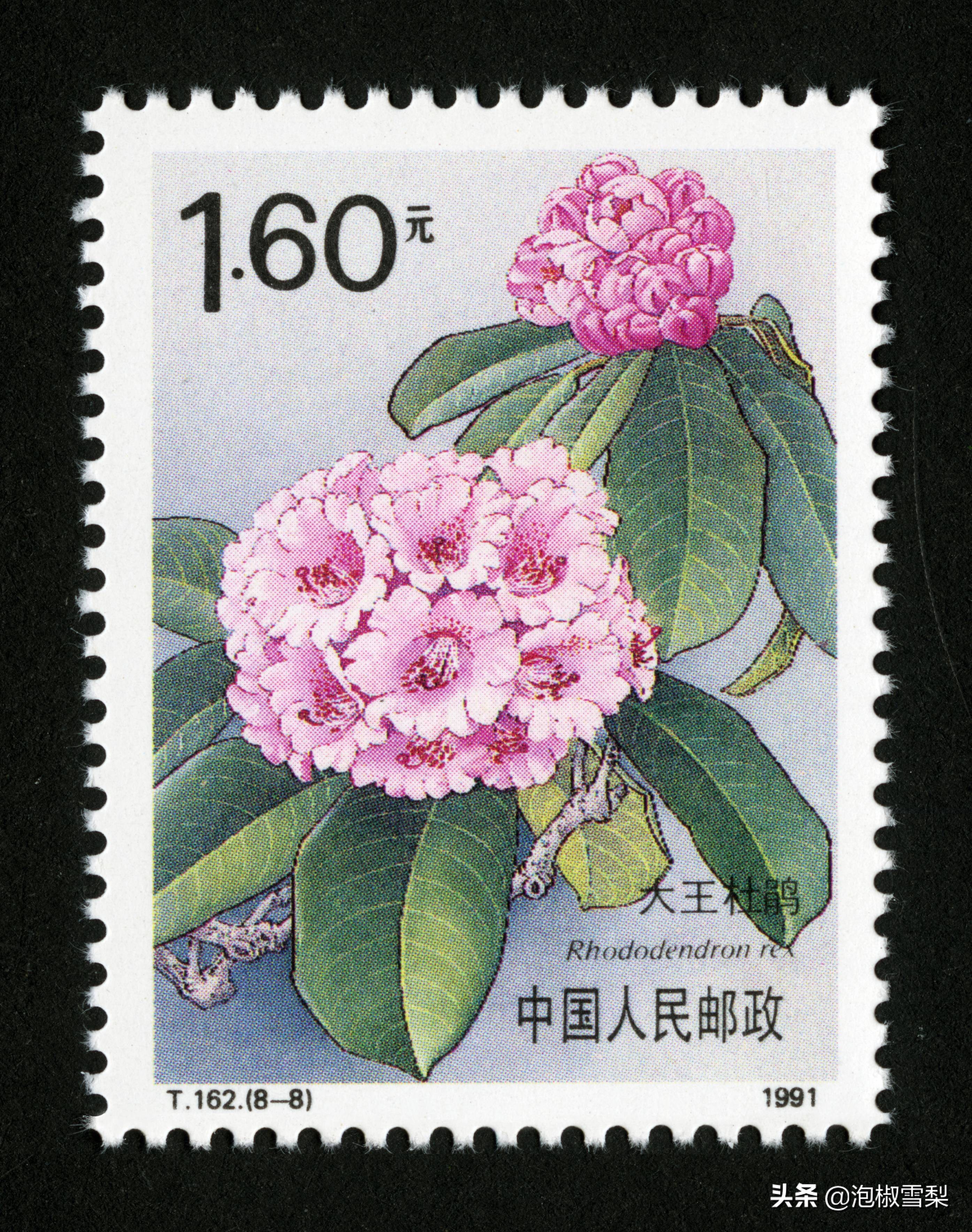 中国1991年发行的全部邮票图片｜陈胜吴广.计划生育.社会主义建设