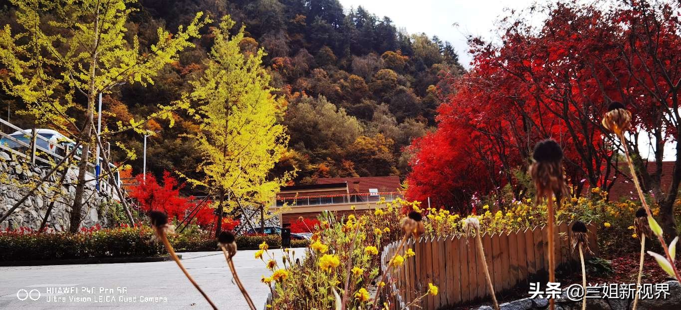 川西古尔沟～看到你之后只剩赞美！我好想去泡你