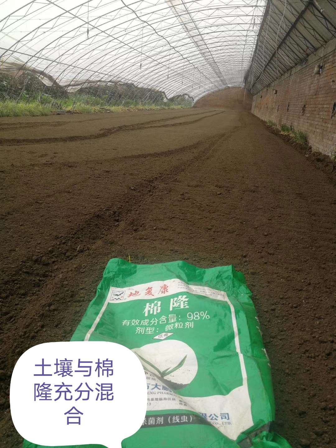 棉隆土壤杀菌剂效果怎么样,棉隆用途及施药方法