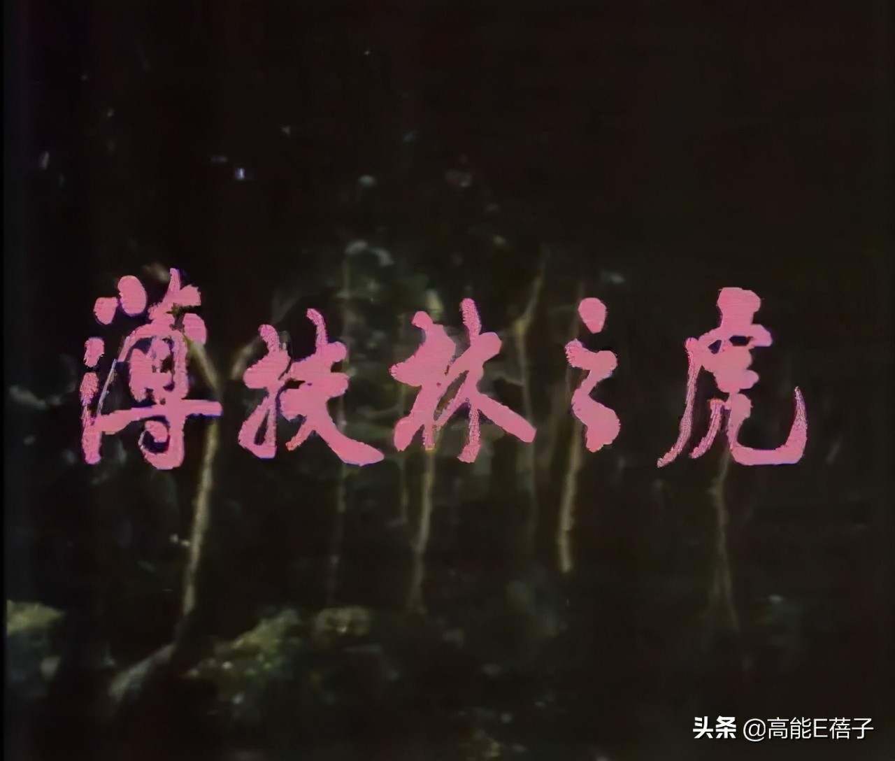 香港奇案片（上）：狠人麦当雄和邵氏江湖