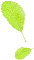 徕卡显微镜所有型号,常见徕卡显微镜怎么样