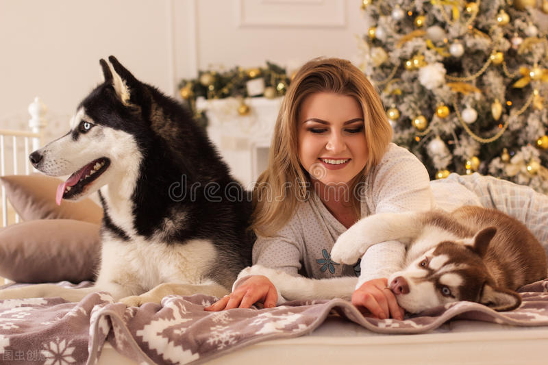 狗狗卵巢囊肿的治疗方法,狗狗得了卵巢囊肿怎么办