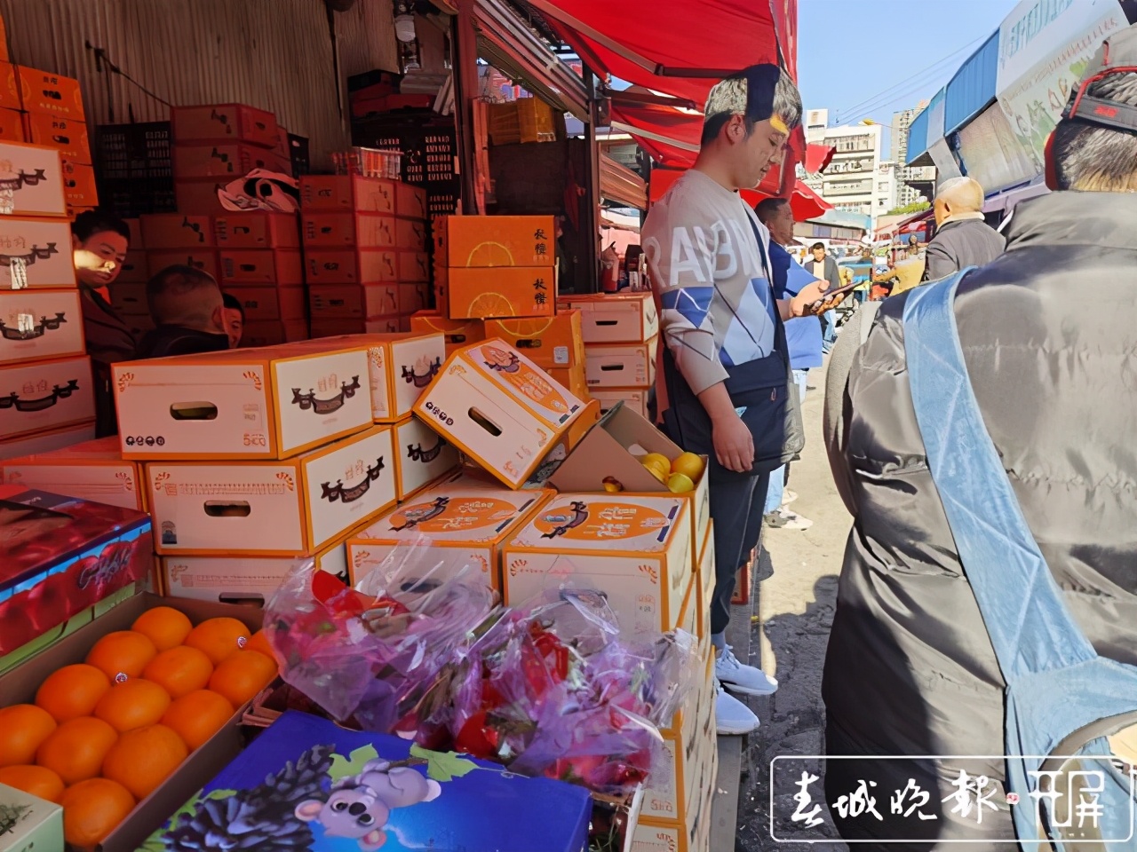 褚橙售卖期,褚橙最新发货消息