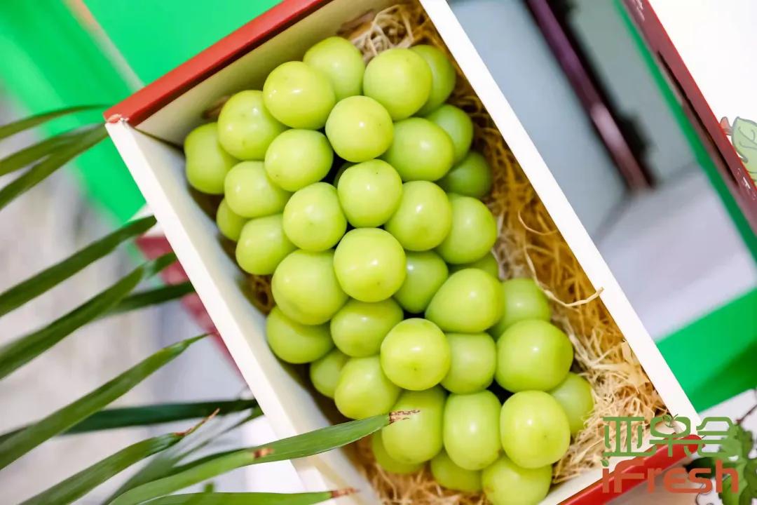 ifresh亚果会上海展会,第14届亚洲if果蔬博览会