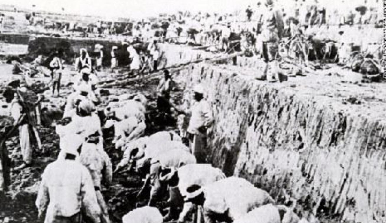 日本抓到的野人,日本野人被抓了吗