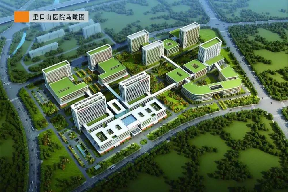 花园洋房玖御壹品,桂花园洋房一楼带院