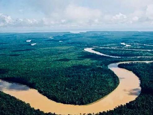 达拉干沉香味道淡淡的,印尼达拉干沉香