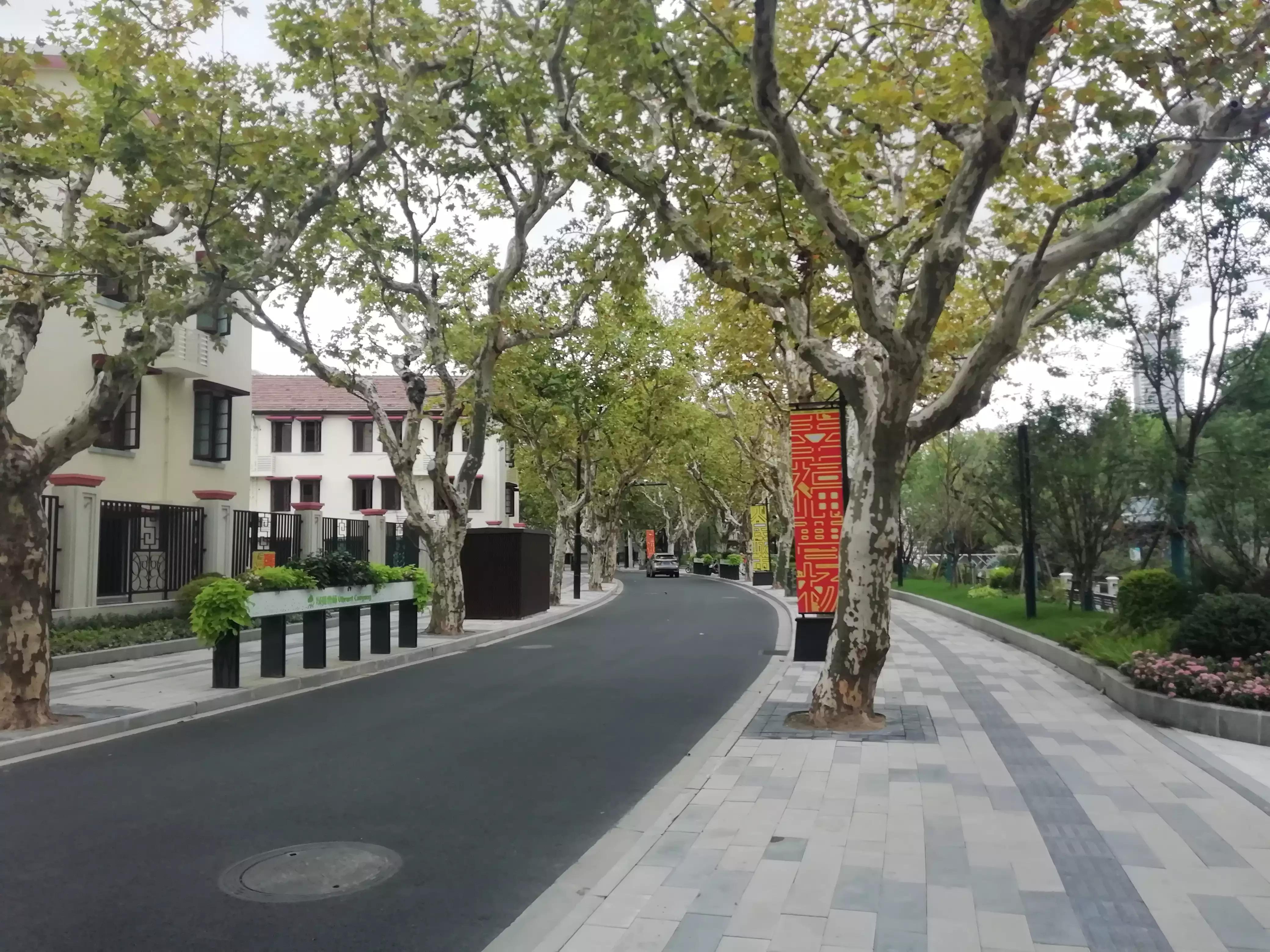 此劳模新村何以植物命名马路，以至美得像江南园林？