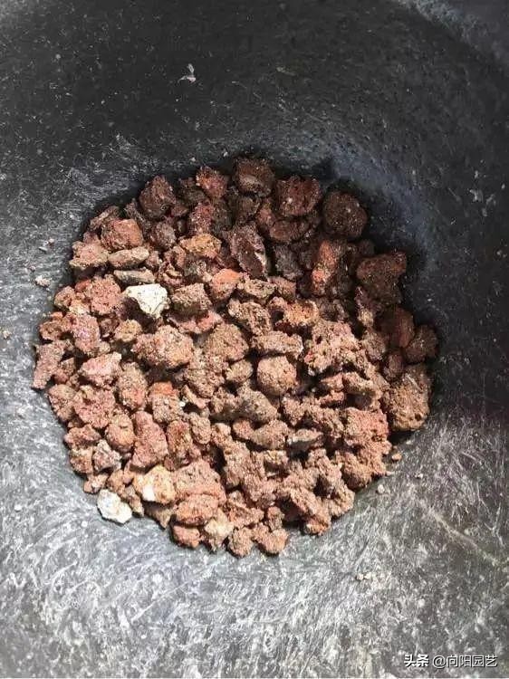 蜂窝煤可以当多肉颗粒土使用吗,蜂窝煤煤渣和松针土养多肉的效果