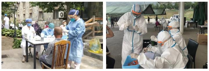 这里的玉兰花开了