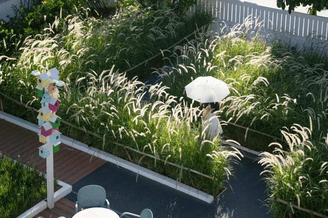 深圳海边网红打卡民宿,海边民宿网红打卡地