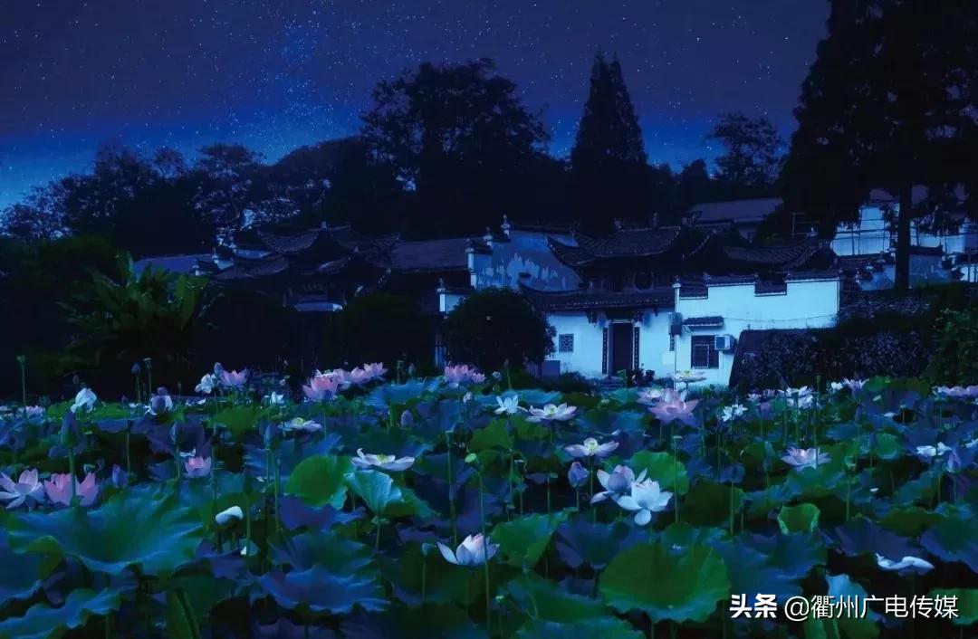 赏荷地图最新版,衢州赏荷