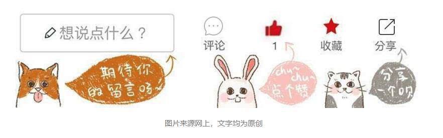 狗狗被烫伤了用什么药最好,狗狗烫伤应该用什么药物