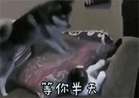 好看的叫女神，年轻的叫小姐姐，像你这种又年轻又好看就叫女朋友