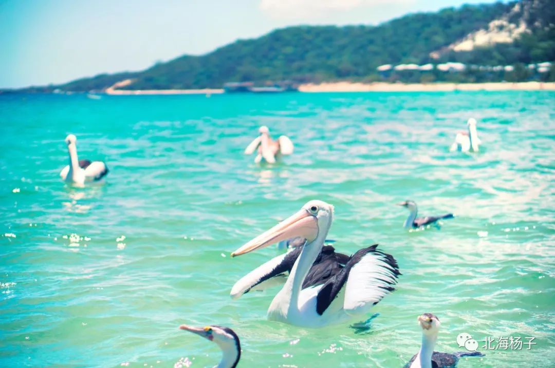 中国气候宜居城市2021,2021亚洲最宜居城市