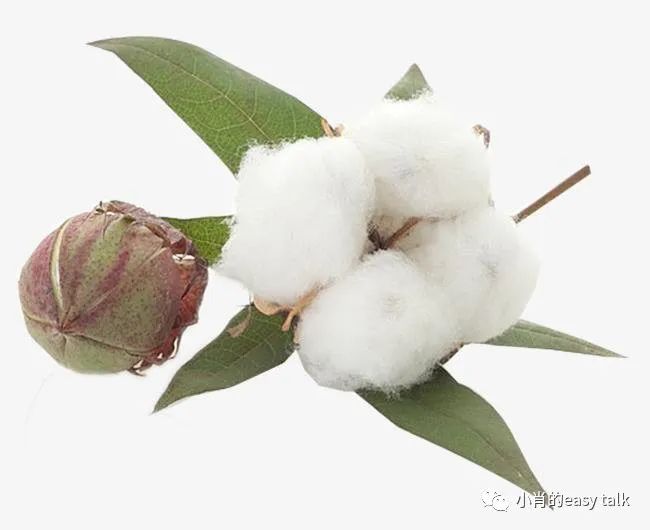 棉面料图,三棉的羽绒服面料是啥意思